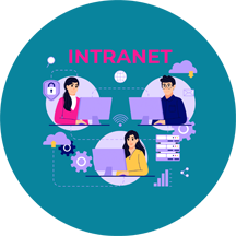 İNTRANET